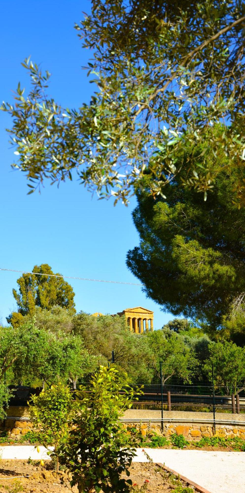Bed and Breakfast Il Giardino Del Tempio Agrigento Exteriér fotografie