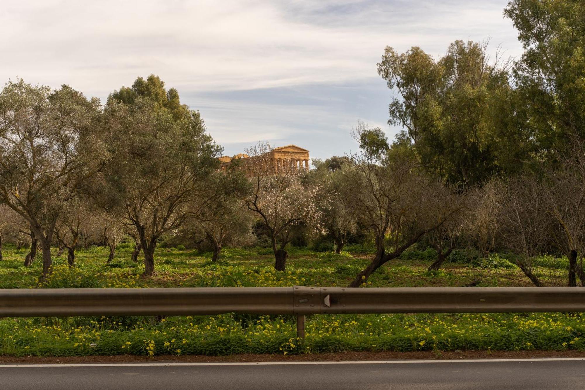 Bed and Breakfast Il Giardino Del Tempio Agrigento Exteriér fotografie